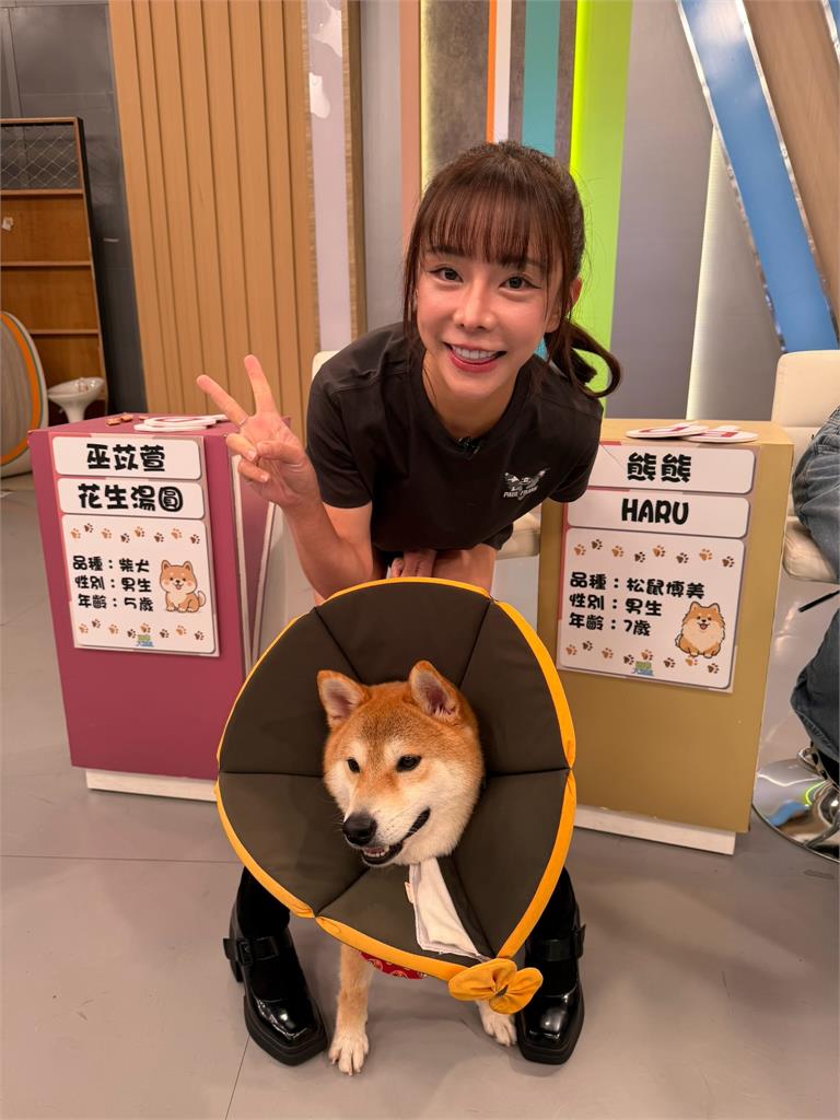 陳真愛犬領養就罹患皮膚病！砸錢買保健品餓到吐胃酸也不肯吃