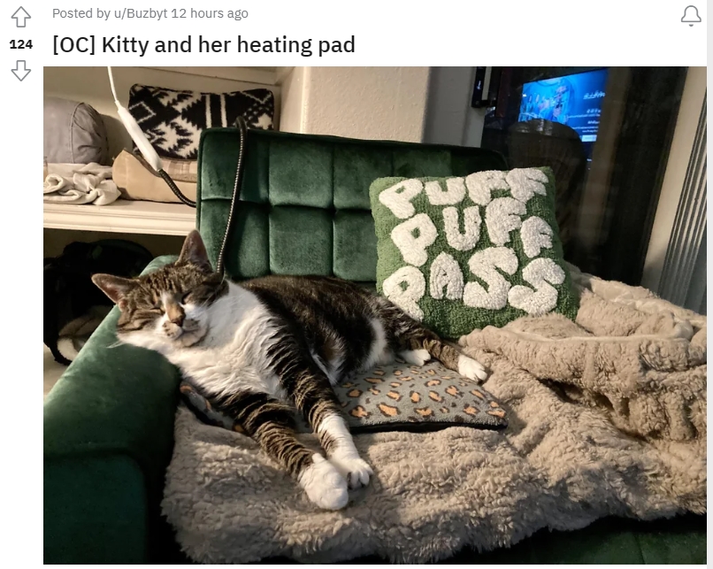 貓貓電熱毯