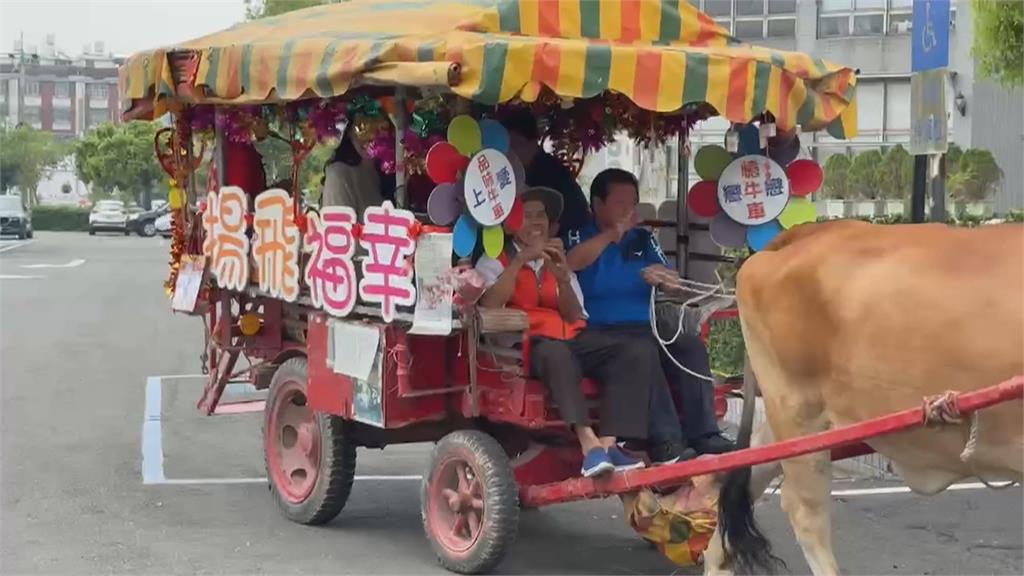 雲林縣府打造超夢幻520集團結婚　萬丹復古牛車迎親　