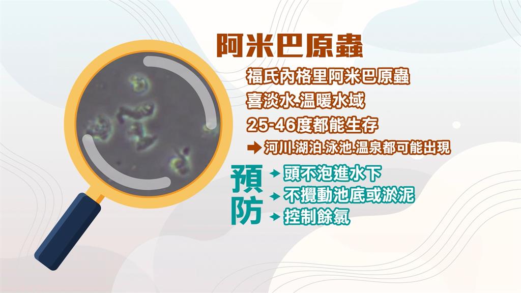 登革熱警報升級加強消毒 新北採檢水質揪原蟲