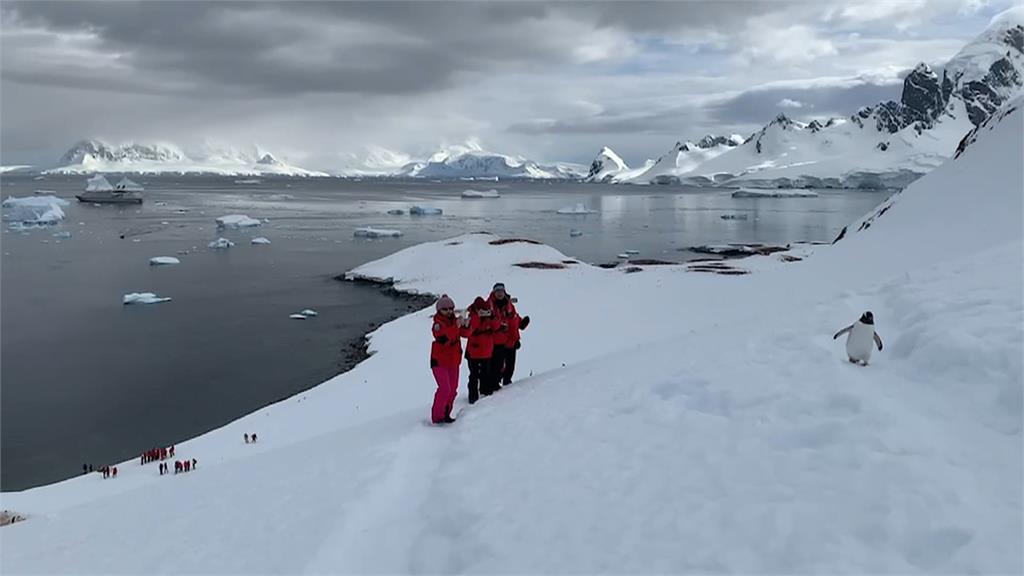 17天南極遊輪團費75萬起跳　高端客當場下定