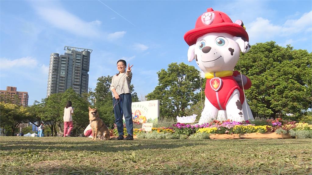 台北花伴野餐結合「汪汪隊」 六米高「阿奇」現身大安森林公園