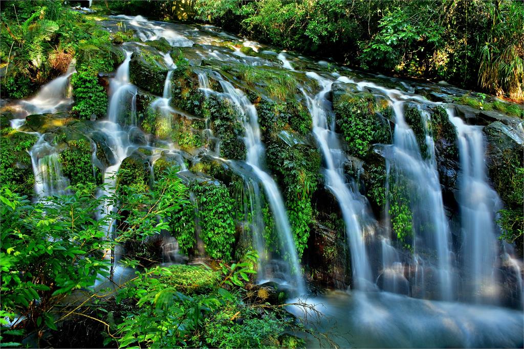 嘉義梅山最美十景　超美茶園、竹林、瀑布這裡賞這裡拍