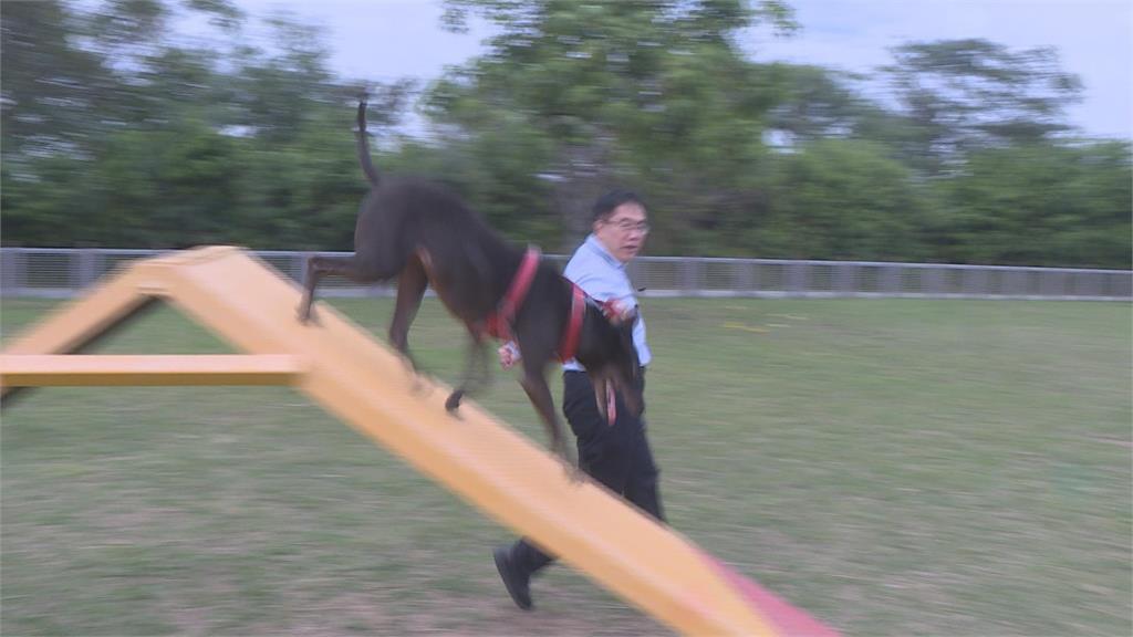 黃偉哲公務之餘紓壓 帶愛犬