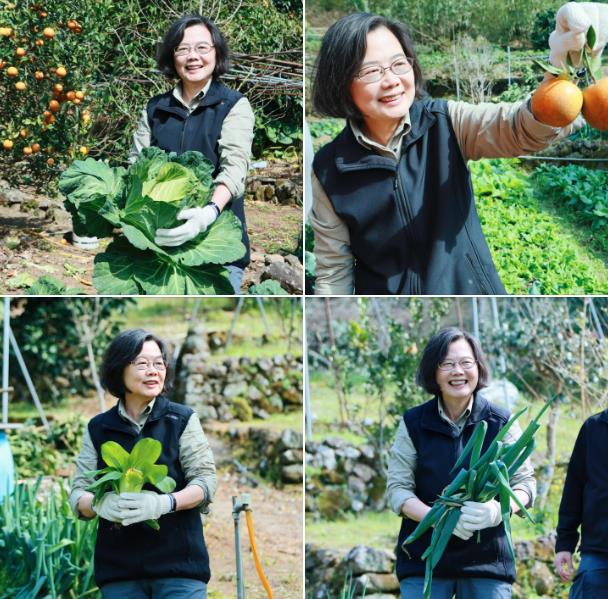影／退休老人「下地拔菜」竟是蔡英文！對決粗勇青蔥「狂遮被抓包」超羞回嘴了