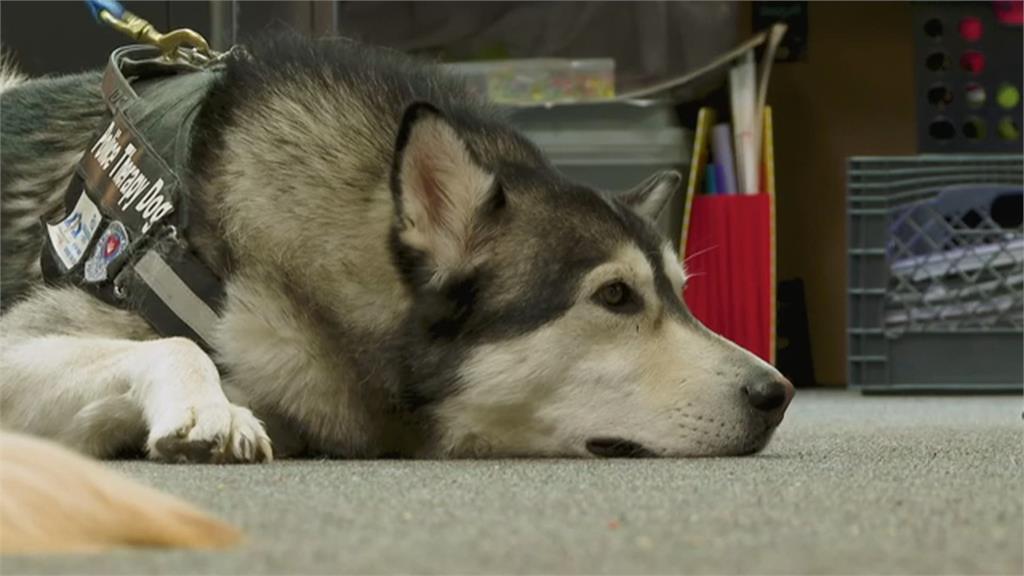 治療犬是童書主角 擬人化警犬心情陪伴孩童成長