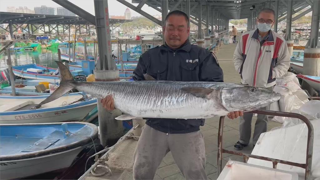 安平漁港「怪物」上岸　釣友捕獲36公斤超級土魠魚