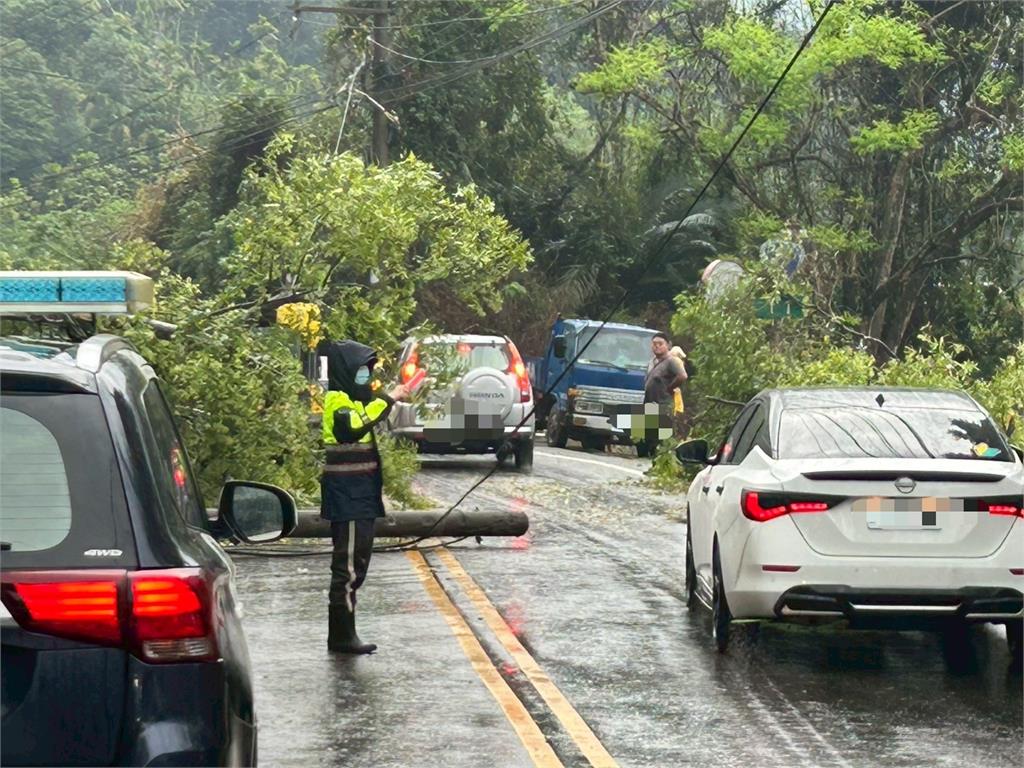 快新聞／豪雨成災！台8線東勢段路樹、電桿倒塌　交通一度受阻