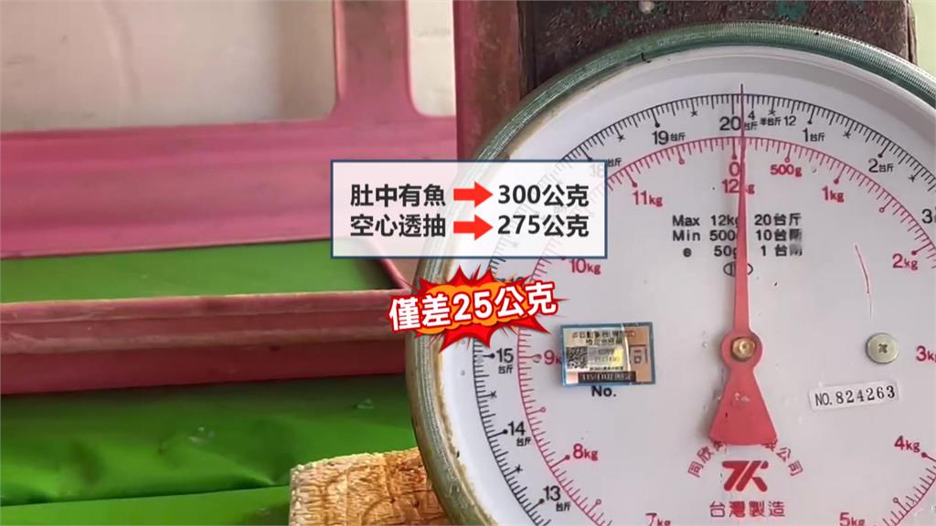 透抽肚裡塞進數條小魚　業者：小魚鑽進透抽肚裡