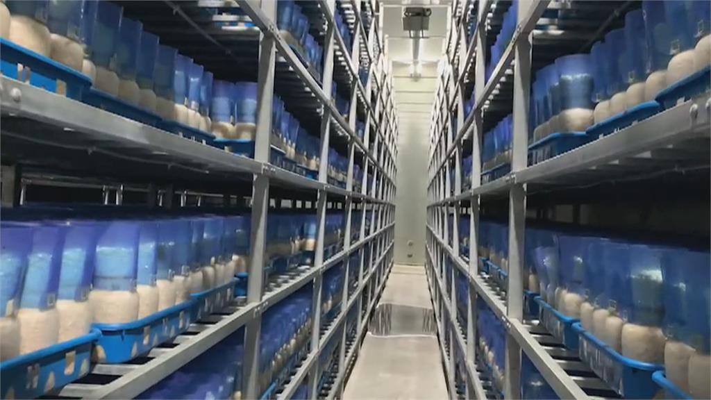 輸美金針菇含李斯特菌 衛生局:船運延誤所致