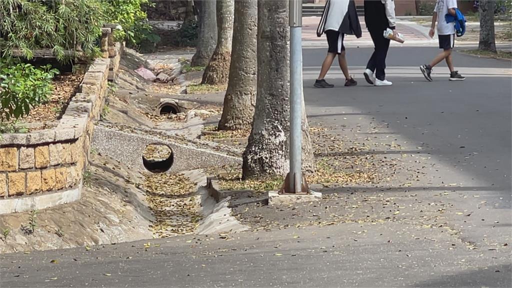 嘉義某高中爆20餘人感染水痘 如期段考引爭議
