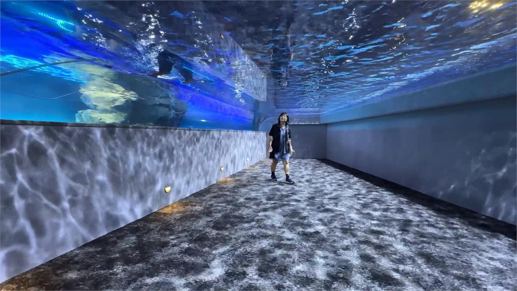 「台中海洋館」正式開幕 打造海線新地標