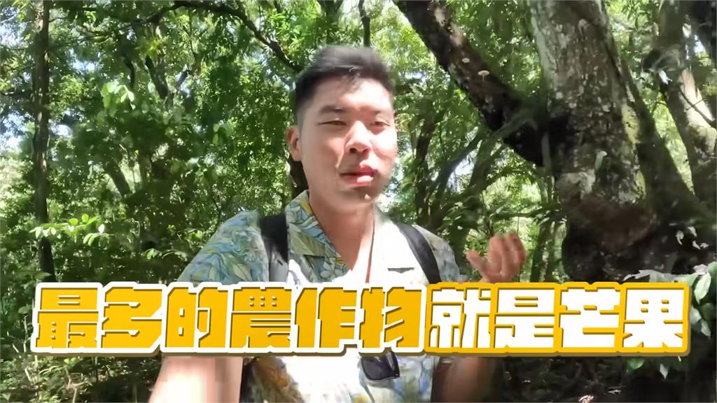 嘟嘟人挑戰中美洲小島「最高峰」爬3000英尺 累喊:真的不是在鬧的
