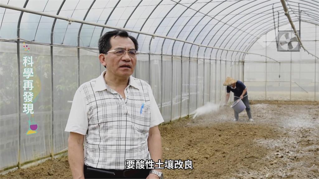台灣七成土壤成酸性　鹼性石灰肥料成解方