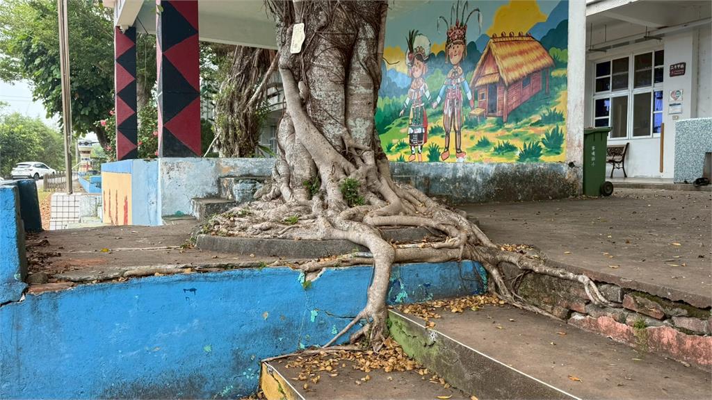 保障運動安全 陳瑩爭取千萬為小學打造標準PU跑道