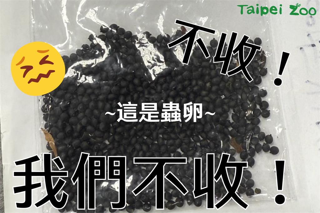 「密密麻麻狂堆疊」!台北動物園驚見詭異黑色籽狀物…一查真相嚇壞全網