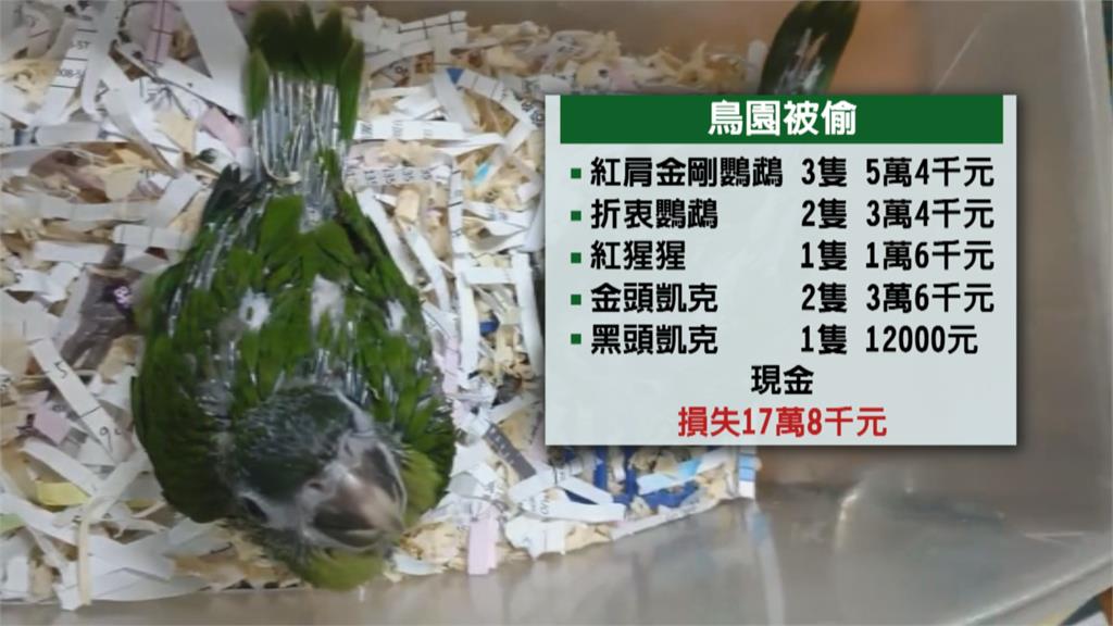 12隻高價鸚鵡不翼而飛! 高雄鳥園遭賊闖 損失高達17萬