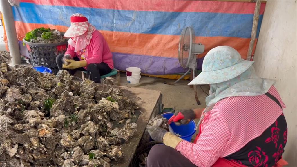 越南牡蠣驗出致癌物「無機砷」　食藥署邊境銷毀2批逾6公噸