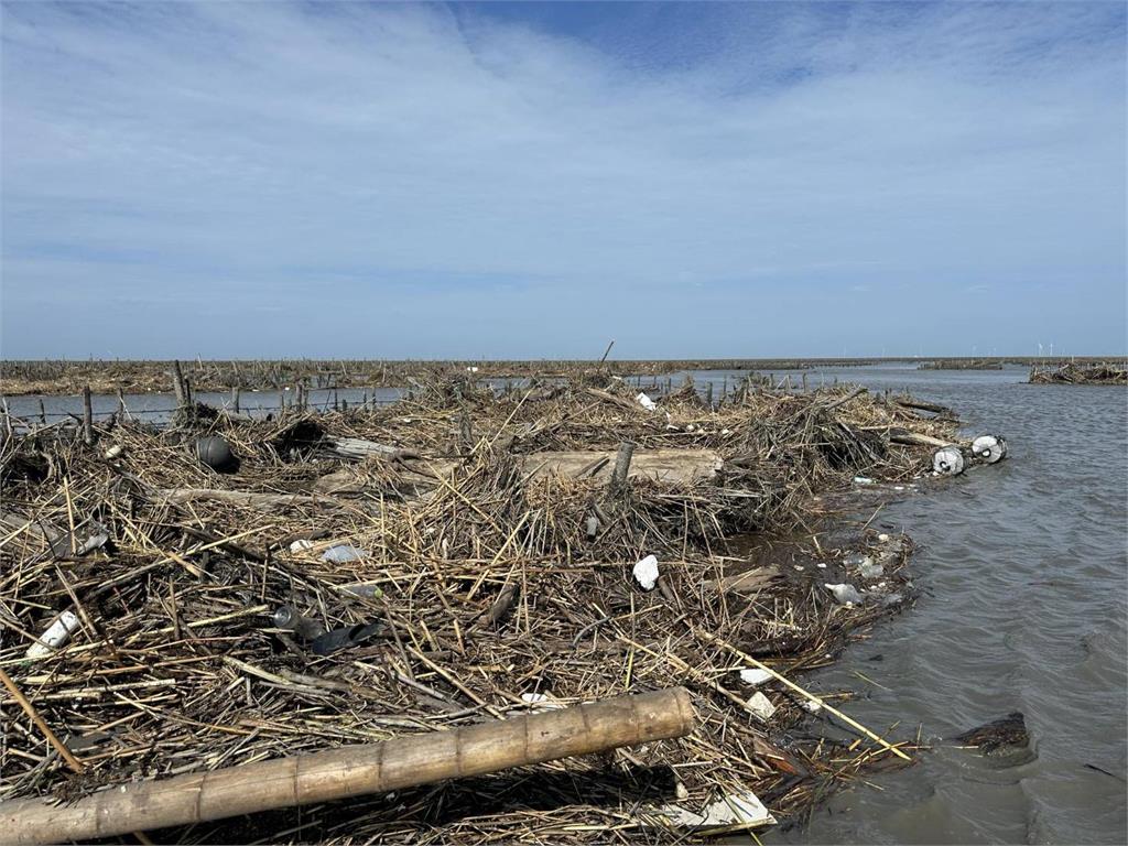 颱風釀海水倒灌沖倒彰化蚵棚　枯木雜草覆蓋牡蠣死亡災損約三成