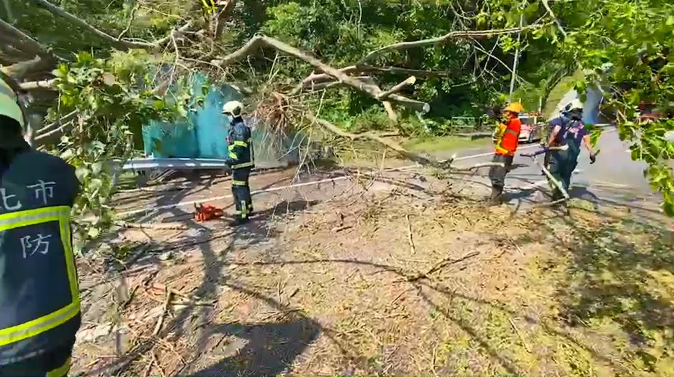 快新聞/國3甲西向台北二隧道路樹倒塌 往市區方向全線封閉