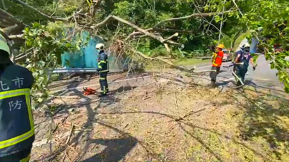 快新聞／國3甲西向台北二隧道路樹倒塌　往市區方向全線封閉