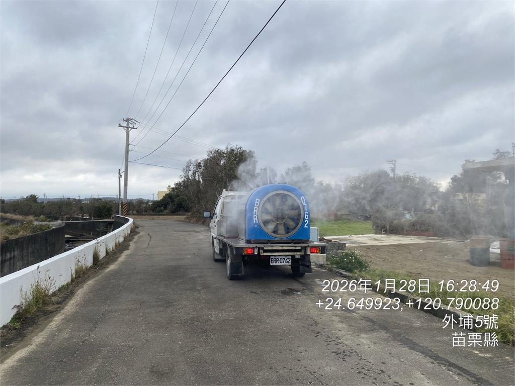 快新聞／苗栗也出事了！235隻死雞遭丟大排　證實「確診禽流感」源頭曝光