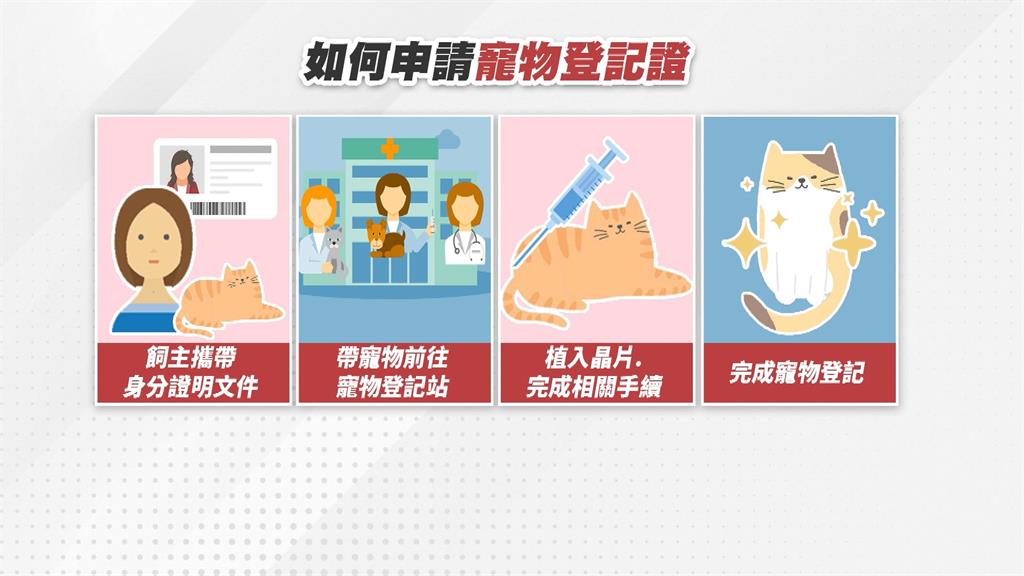 貓咪也要報戶口! 元旦後未完成寵物登記最高罰1.5萬