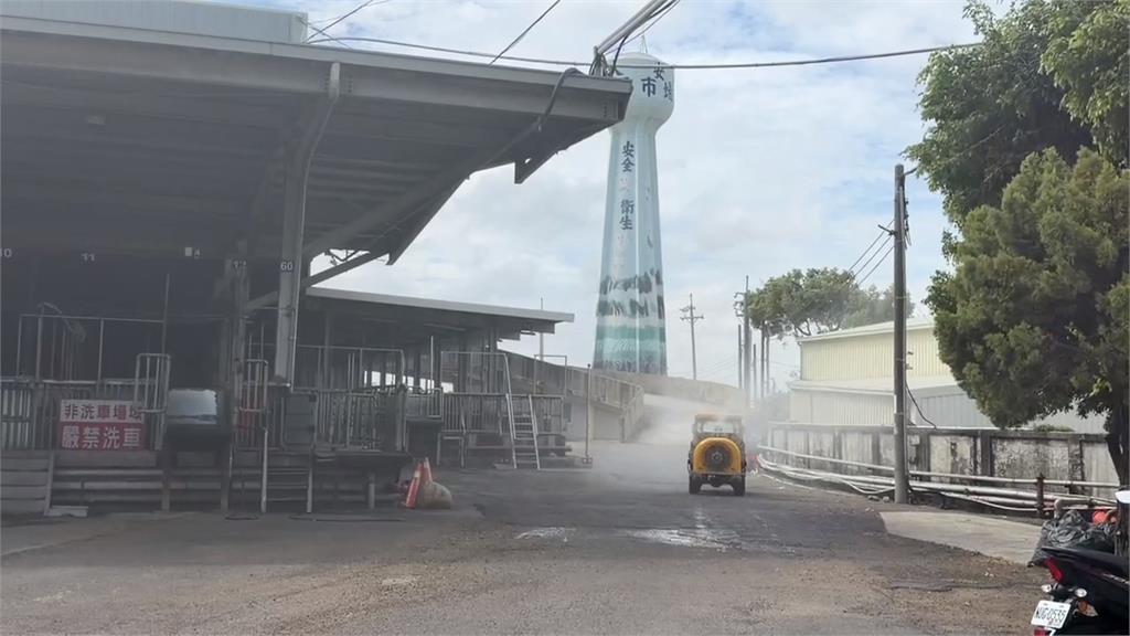 兩頭豬跑去哪了? 中市衛生局長第一時間「這樣回」