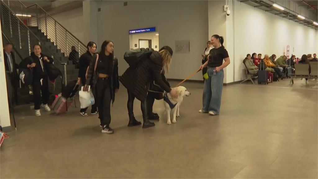 不查違禁品而是療癒人心 北馬其頓機場「撫慰犬」超萌