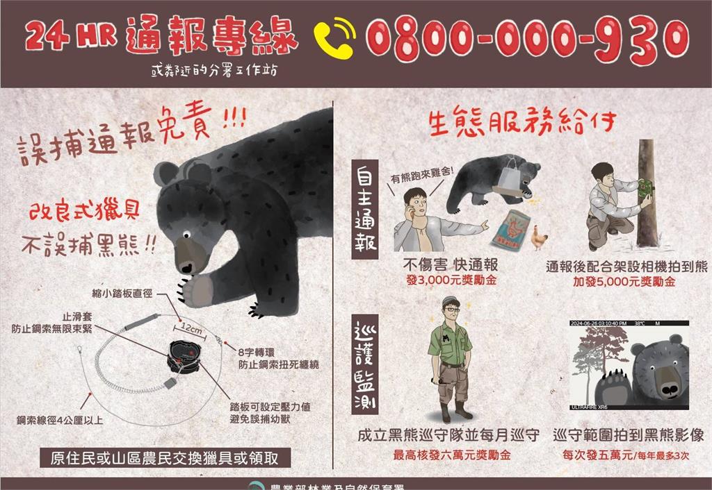 台灣黑熊直衝阿里山部落找食物!「翻冰箱、開罐頭」現場破壞照曝光