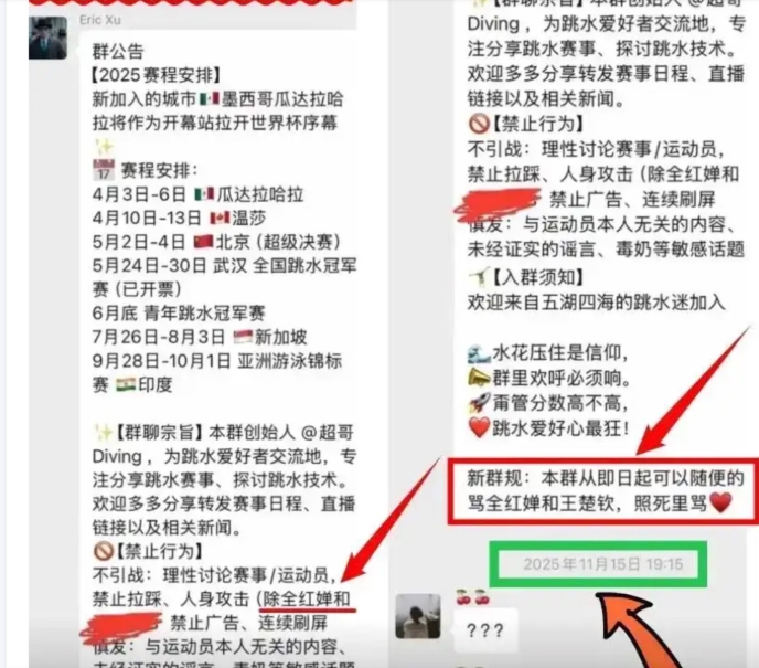 中國跳水天才少女全紅嬋疑遭「集體霸凌」！國家隊隊友、央視記者皆涉入