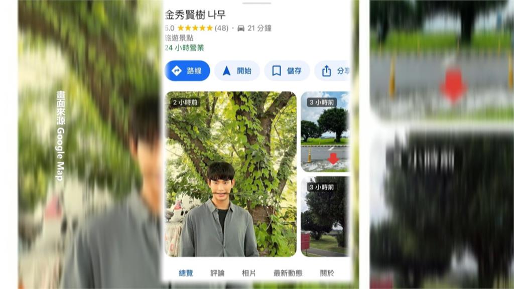 好想和歐爸種在一起1！　「金秀賢樹」粉絲5星刷瘋了