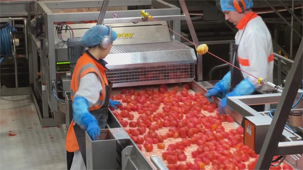 番茄新價值成功逆襲! 籽提煉保養品、果皮製寵物食品