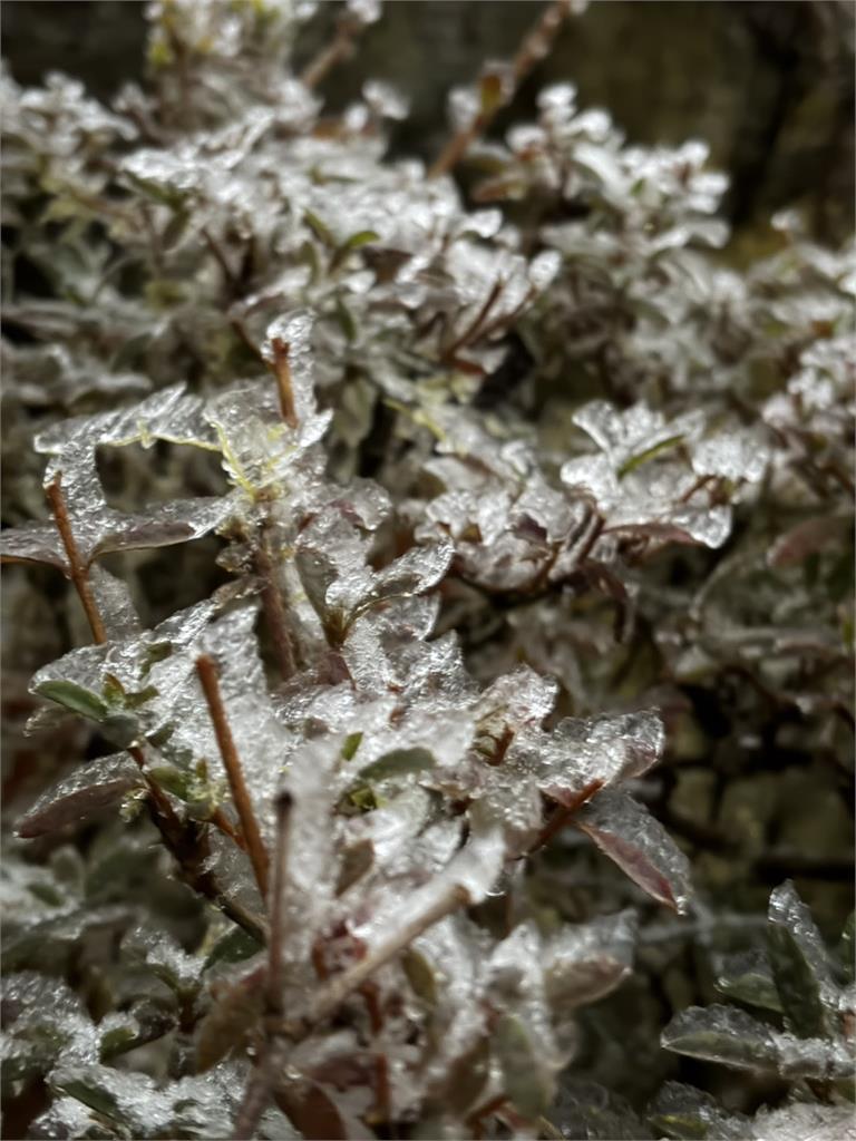 快新聞／有夠冷！宜蘭太平山「跌破零度」下雪　美景曝光了