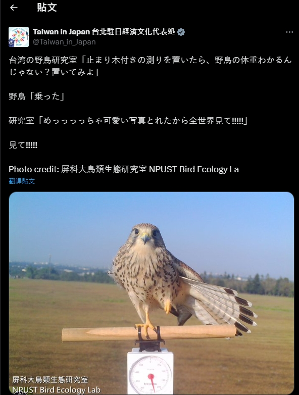 屏科大「樹枝放磅秤上」幫野鳥量體重　萌翻近10萬網友還紅到日本