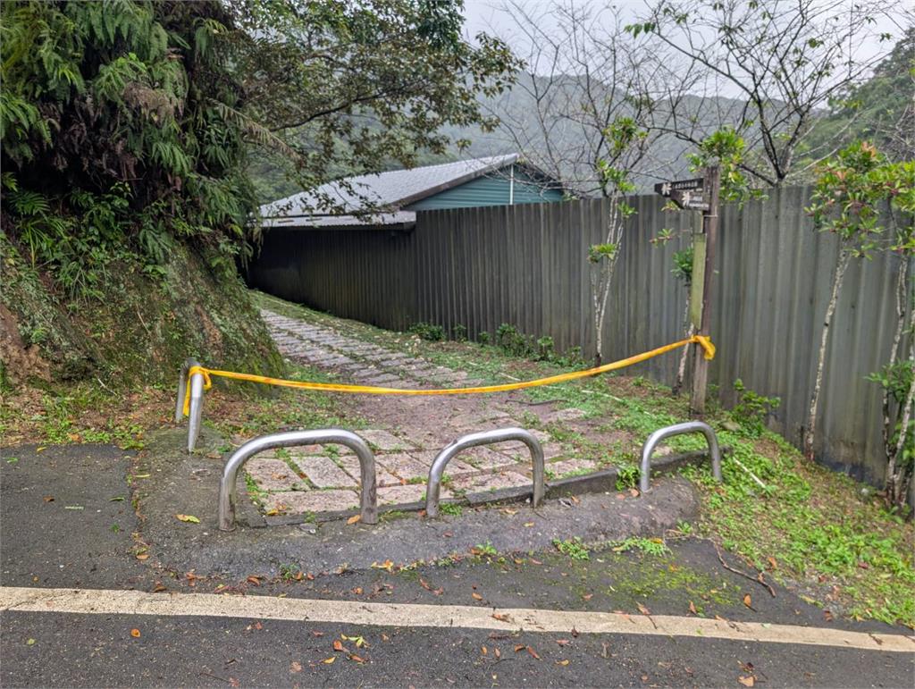 新北雙溪灣潭步道傳蜂螫人事件! 3民眾遭虎頭蜂攻擊