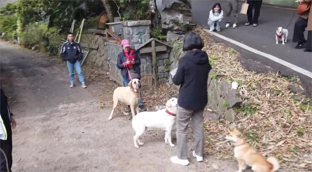 快新聞/蔡英文帶樂樂、鳳梨妹上山走春 手做肉乾太美味吸引15隻狗友歡迎
