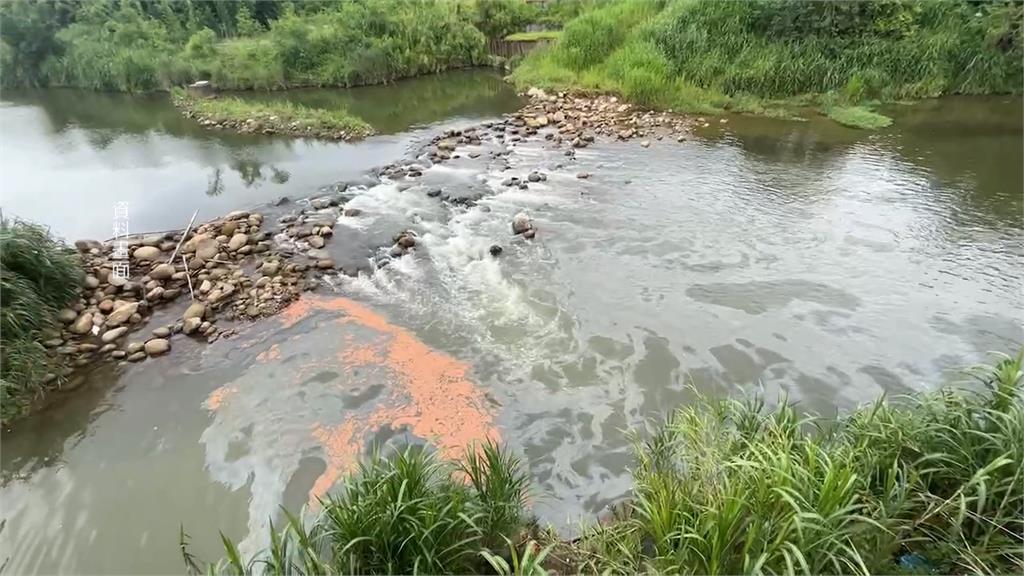 新竹鳳山溪遭污染 「逢雨傳惡臭」縣府挨轟處理消極