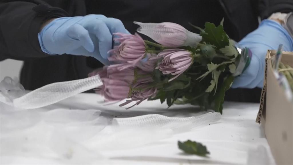 美國對南美鮮花課關稅衝擊市場　西洋情人節花束漲價