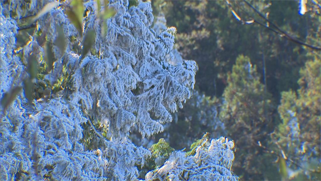 太平山水氣不足未飄雪 翠峰湖伴白霧如仙境