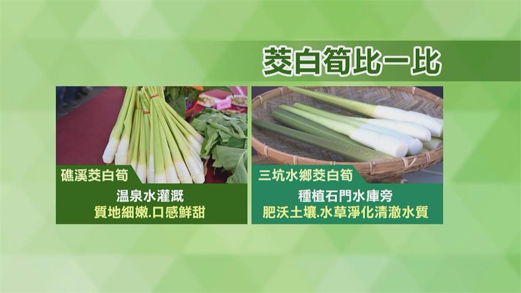 茭白筍產季來臨！　礁溪溫泉美人腿、桃園甜度王大受好評