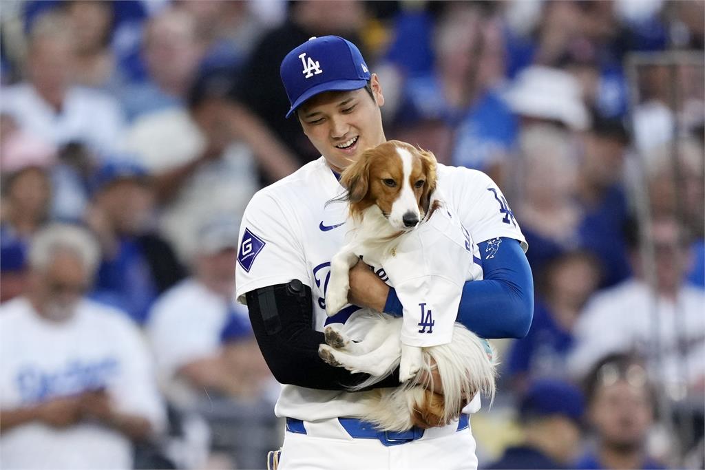 MLB（影）／愛犬Dekopin超萌開球　狗爸爸大谷喊緊張「練了三個禮拜...」