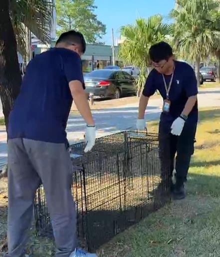 流浪狗霸占公園沙坑！　公所誘捕遭愛狗人士「開籠放生」