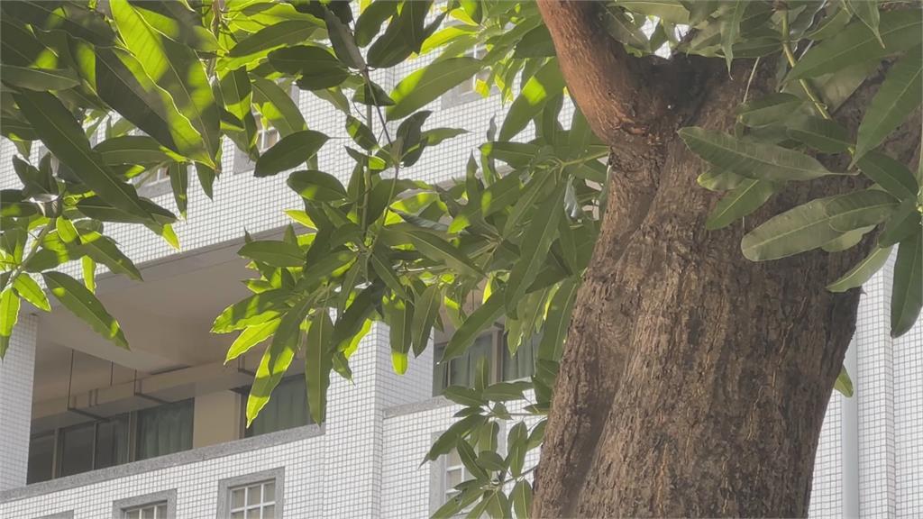 小五生持刀抵住同學下巴　還失控恐嚇其他學生