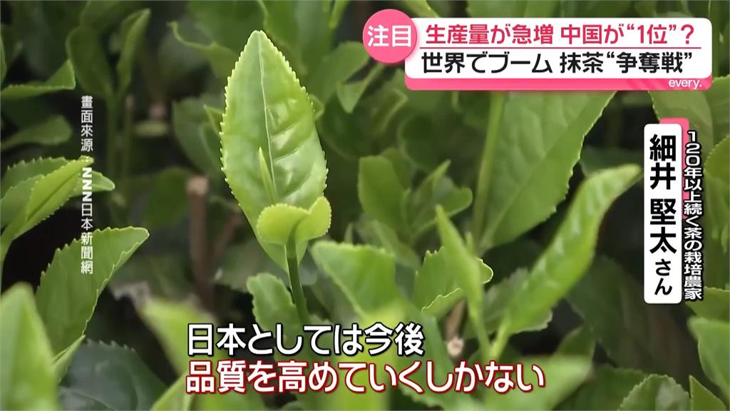 全球夯抹茶!中國貴州1年可收成4次 成全球最大產地