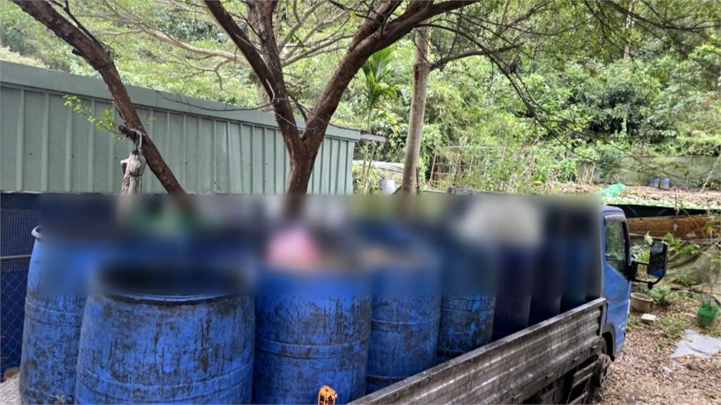 豬事不順!非洲豬瘟燒到新北市 泰山養豬場偷餵廚餘