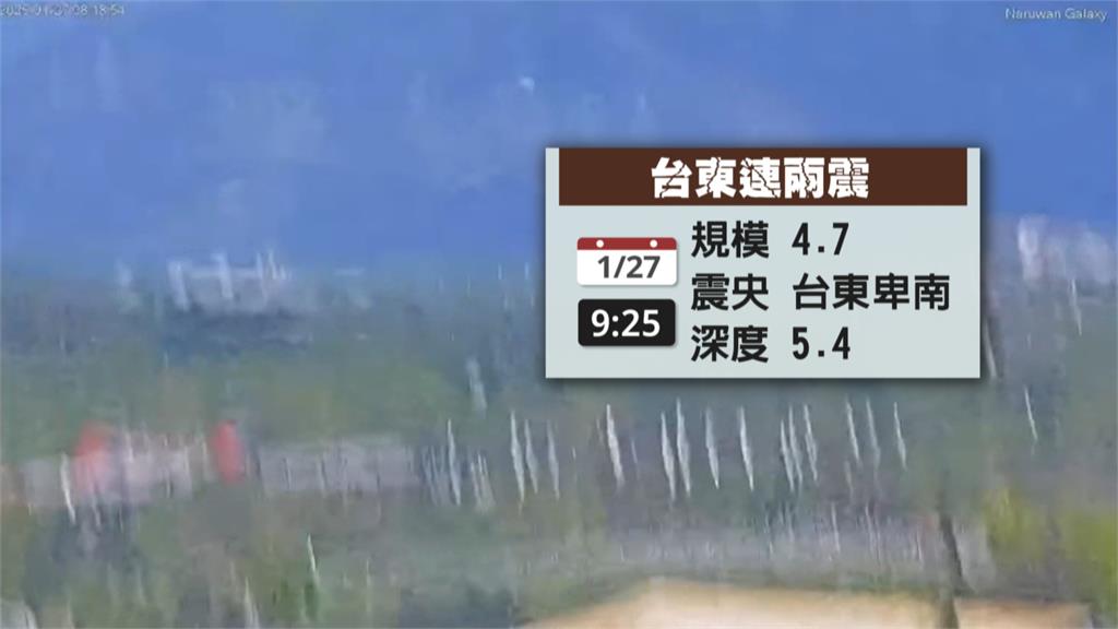 震不停！台南、台東震不停　環頸雉「慘叫逃命」畫面曝光