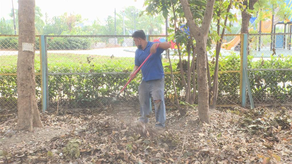 有影／高雄4年級學童倒垃圾　疑遭「青竹絲」咬傷住院觀察