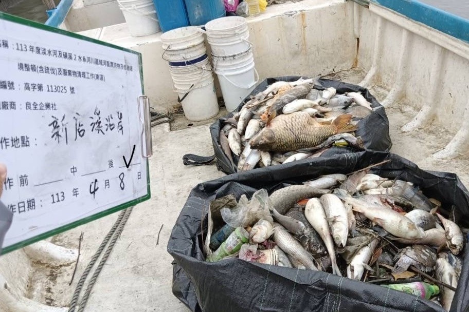 快新聞／新店溪「大量魚隻暴斃」引居民憂慮！　環保局解答原因了