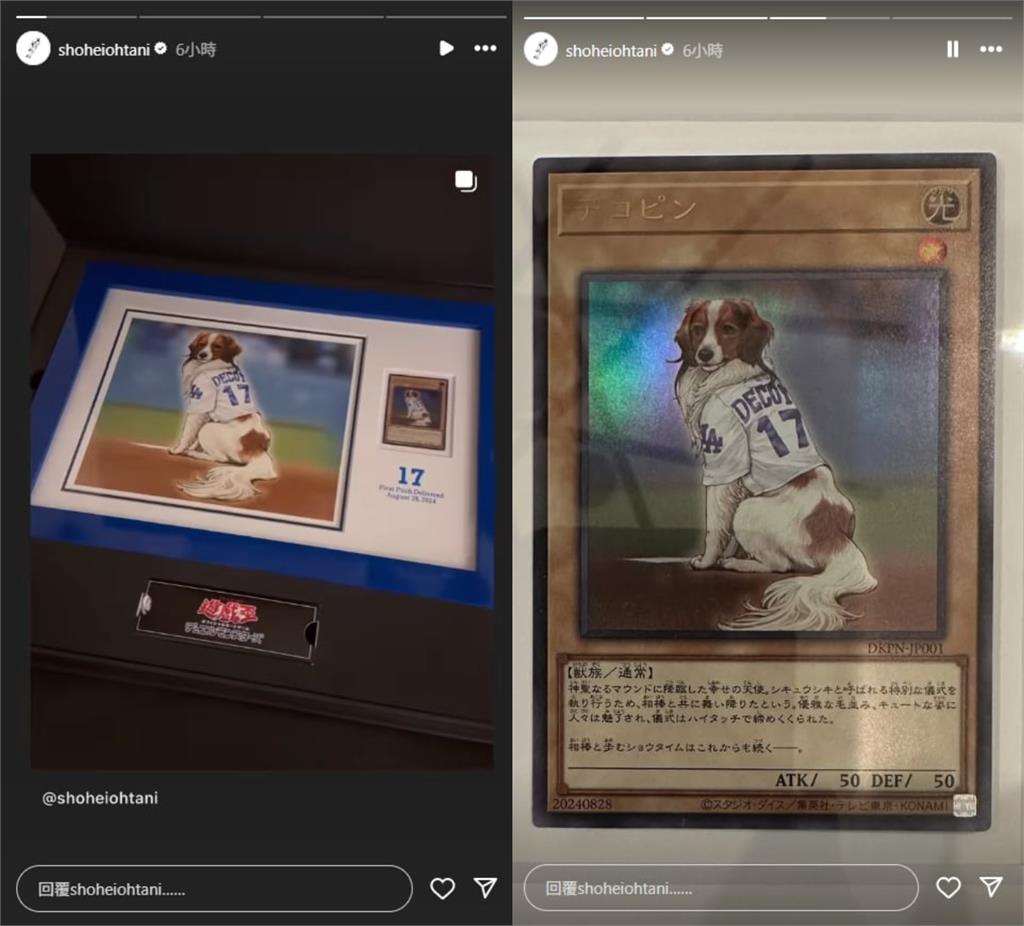 MLB/大谷愛犬遊戲王卡藏巧思!DECOY開球卡加入主人「50-50俱樂部」